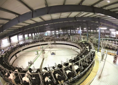 芒种时节探秘蚌埠 蒙牛“种养加”一体化工厂引领牧业新风尚