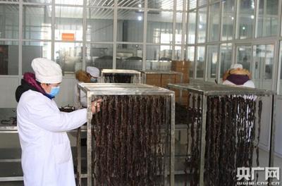 高原之舟引路，牧业企业构筑类乌齐县农牧民致富新途